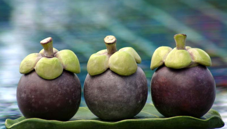 Mangosteen 3